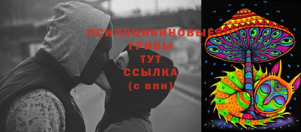 ГАЛЛЮЦИНОГЕННЫЕ ГРИБЫ Богородицк